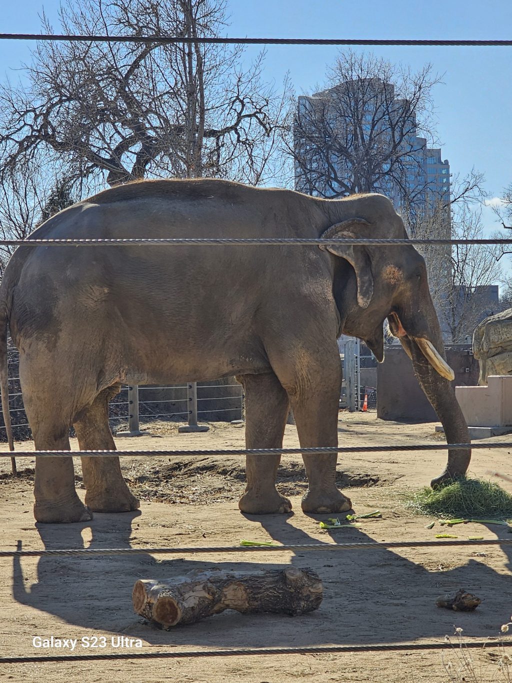 Time is a Flat&nbsp;Circle