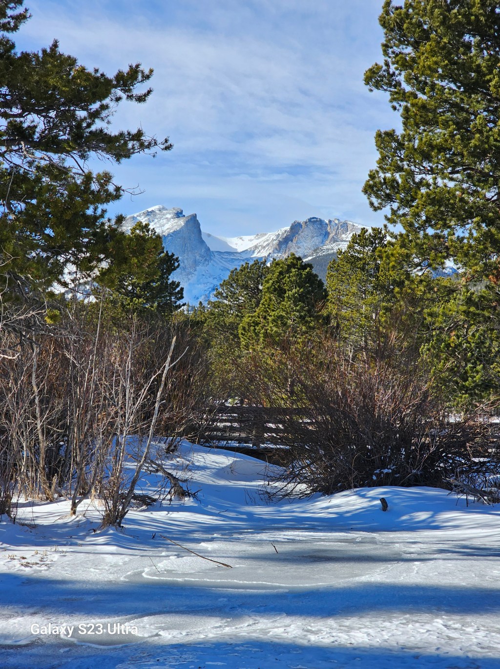 My Favorite Photos from&nbsp;January